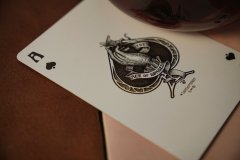 双色球走势图深度解读：数据背后的概率逻辑